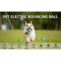 Corgi running on grass with a blue Q2 automatic pet ball in its mouth, feature icons for four modes and touch activation