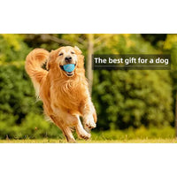 Golden Retriever running through grass with a blue Q2 pet ball in its mouth, the best gift for a dog label