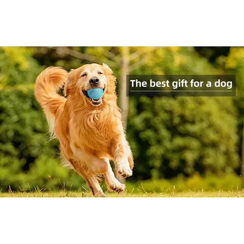 Golden Retriever running through grass with a blue Q2 pet ball in its mouth, the best gift for a dog label
