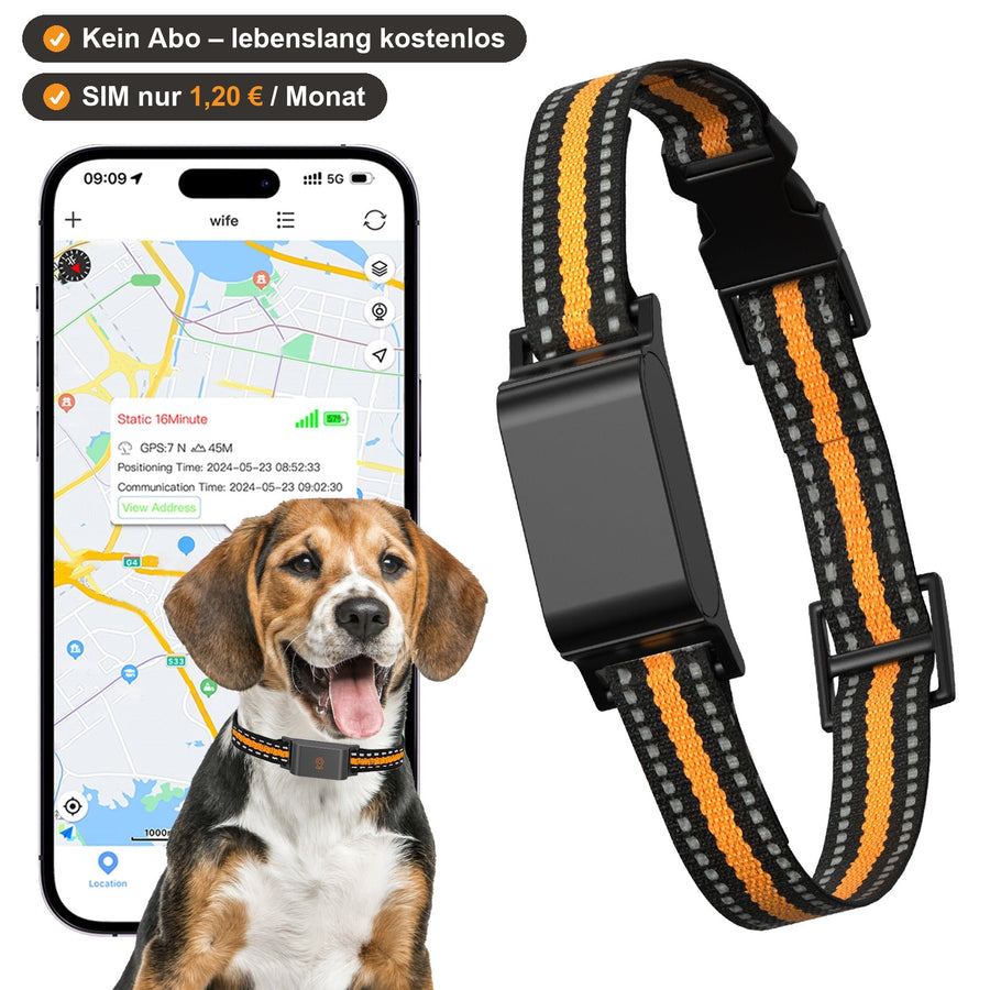 C9 pet GPS tracker collar with reflective black and orange strap beside a smartphone showing a live map and a beagle.