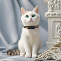 Image file 10.jpg for the C9 GPS tracker collar is missing; no visual content available for description.