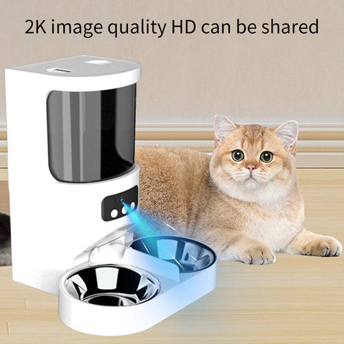 White X39 smart pet feeder with 2K camera and stainless steel bowl beside a golden British Shorthair cat