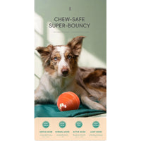 Australian Shepherd lying on a green blanket with an orange Q6 automatic bouncing dog ball, four LED color modes shown