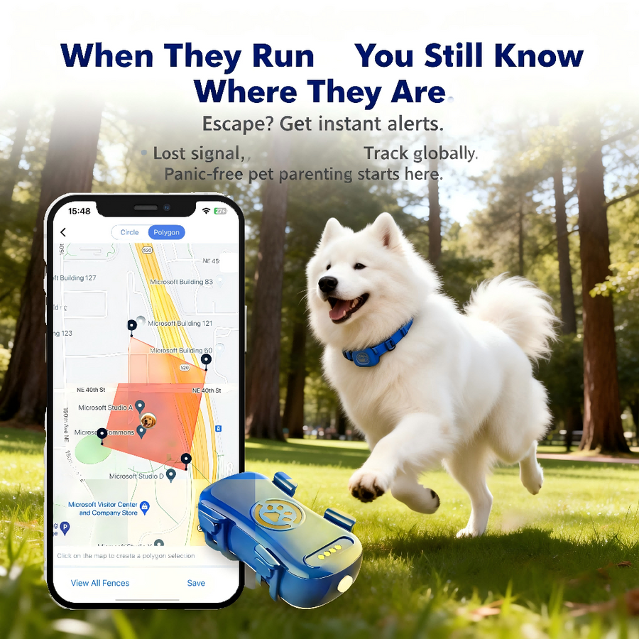 Park scene When They Run: phone screen shows a geo-fence polygon map beside a running Samoyed wearing the blue GPS pet