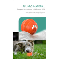 Orange Q6 dog ball on a white surface above a photo of a border collie puppy playing with it in the grass