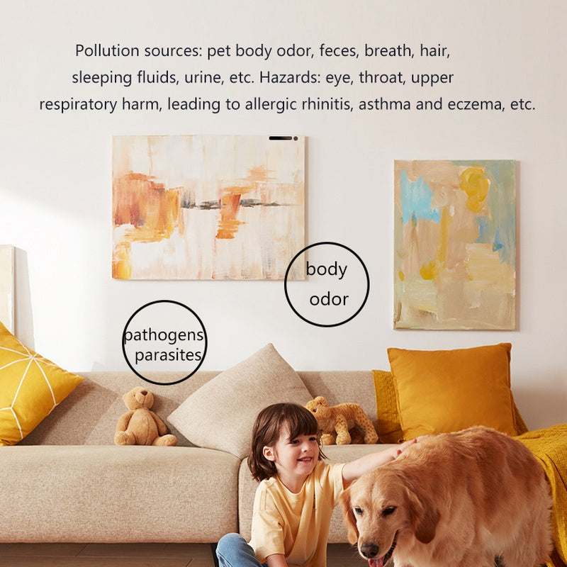 Living room with child petting a golden retriever on a sofa, illustrating pet body odor, pathogens, and parasites