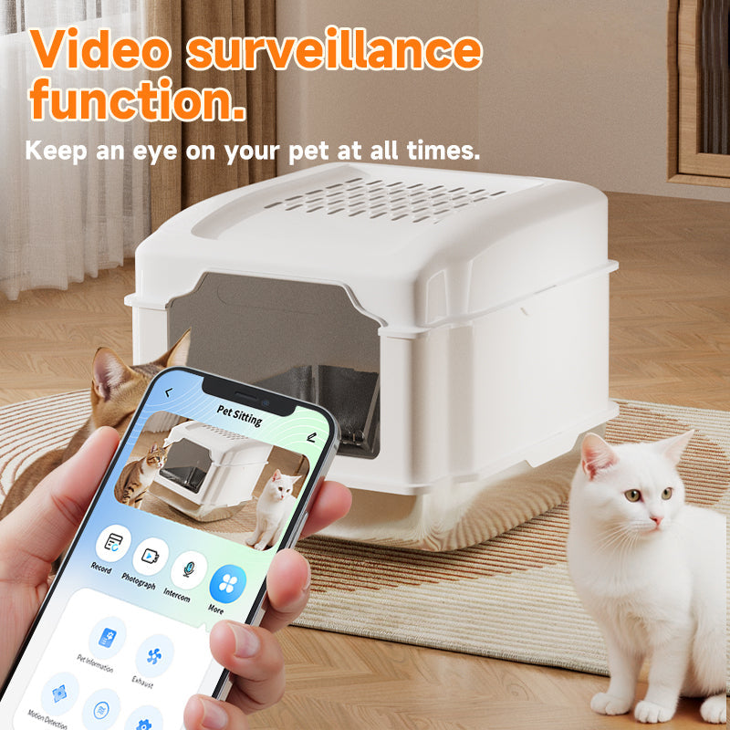 White S5 stainless steel cat litter box with a white cat beside, showing the pet-sitting app on a smartphone