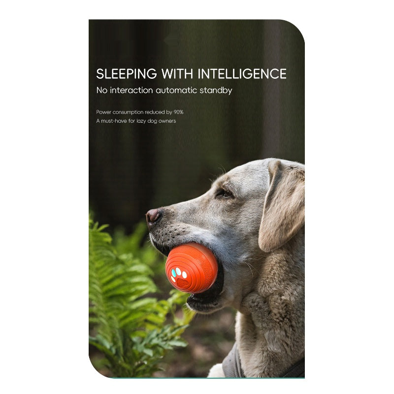 Weimaraner dog holding an orange Q6 dog ball in its mouth in a forest, automatic sleep standby feature text