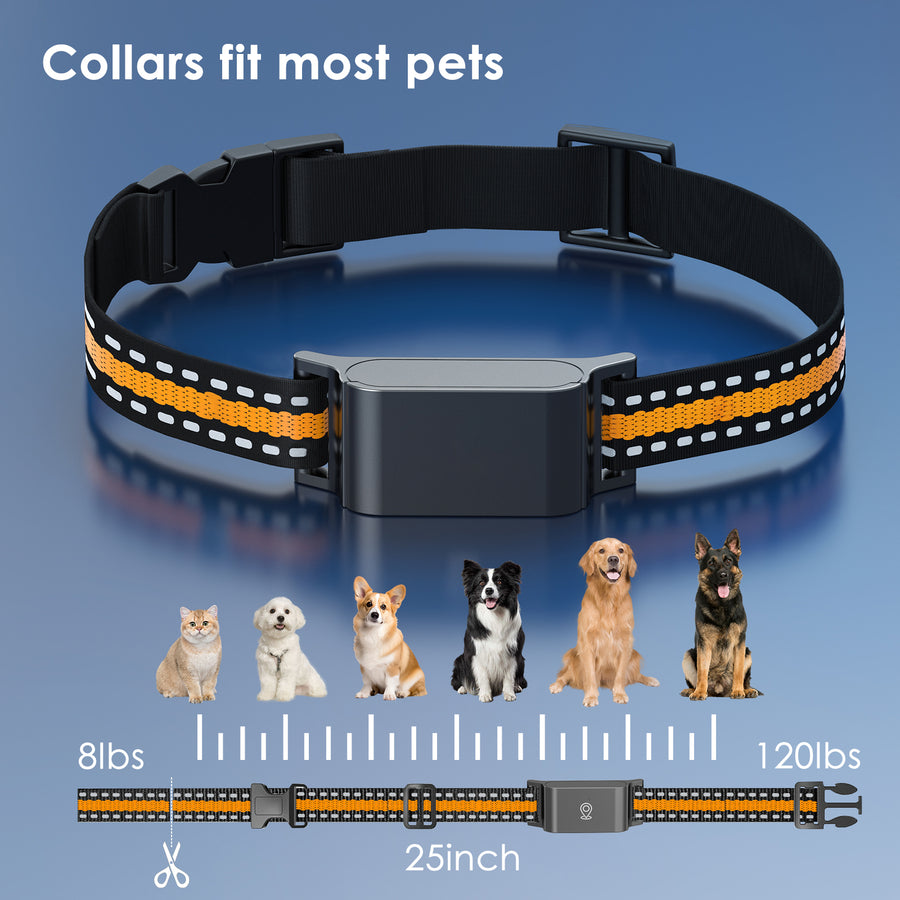 Size and specification diagram for the C9 GPS collar, showing 25 inch strap, 8 to 120 lbs range and sample pets.
