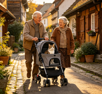 Elderly couple pushing the gray pet stroller down a cobblestone village street, with a calico cat inside
