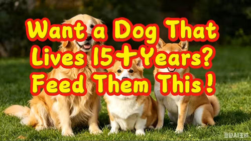 Want a Dog That Lives 15+ Years — Video Demonstration