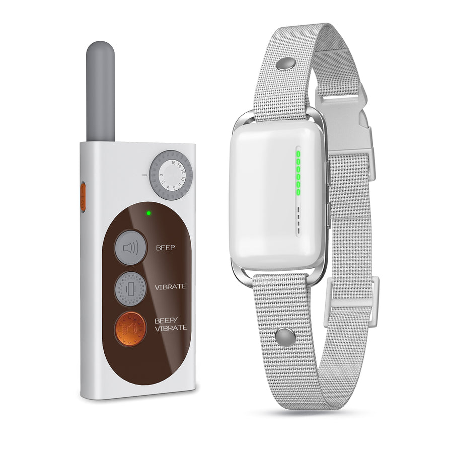 X03 No-Shock Dog Training Collar with Remote — front view