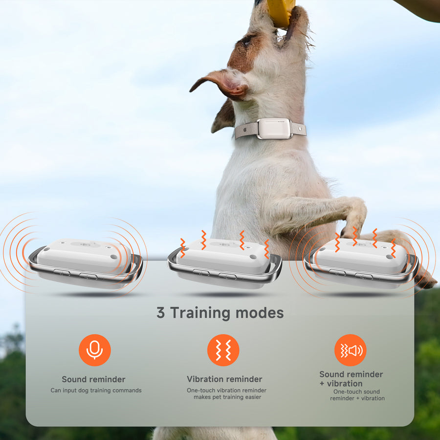 X03 — 3 training modes: sound, vibration, sound + vibration