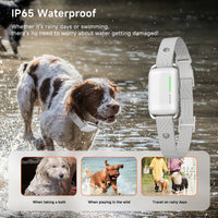 X03 — IP65 waterproof collar, safe in rain and while swimming