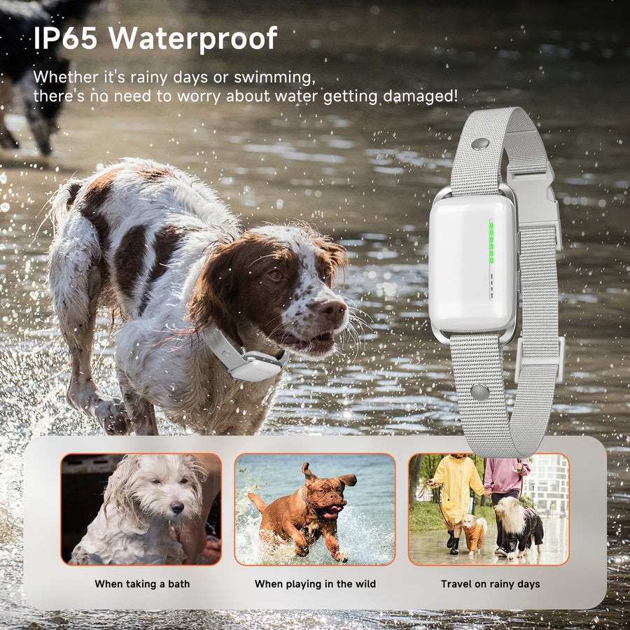 X03 — IP65 waterproof collar, safe in rain and while swimming