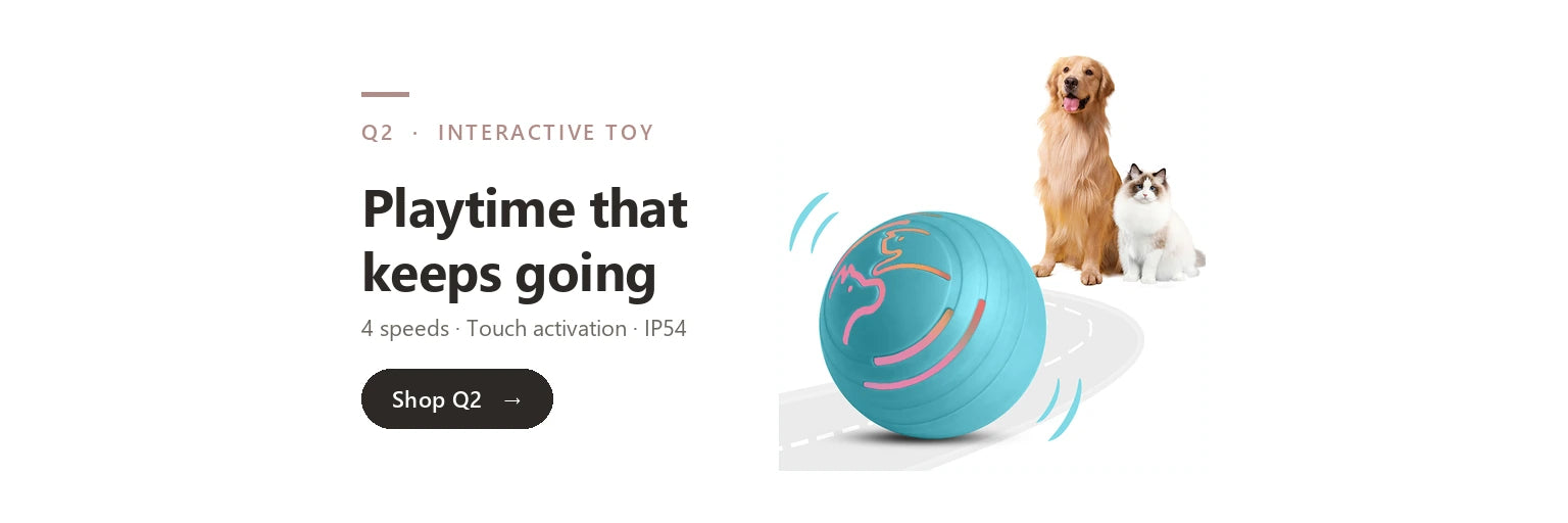 Q2 Automatic Moving Pet Ball